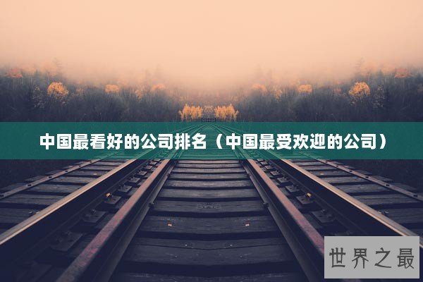 中國最看好的公司排名 管理的藝術(shù)與市場的認可